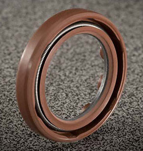 ClearPath motor's spring-tensioned, PTFE coated, Vitron shaft seal option improves dust and water protection
